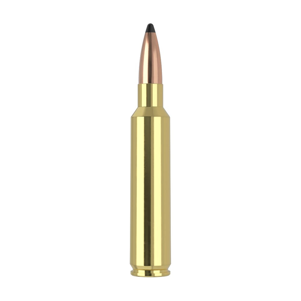 Nosler Trophy Grade TGA-30 Nosler 200g PT SP (20ct) Ammunition 61230