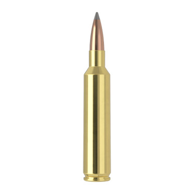 Nosler Trophy Grade (Long Range) TGA-27 Nosler 165g ABLR (20ct) Ammunition 61237 - nosler