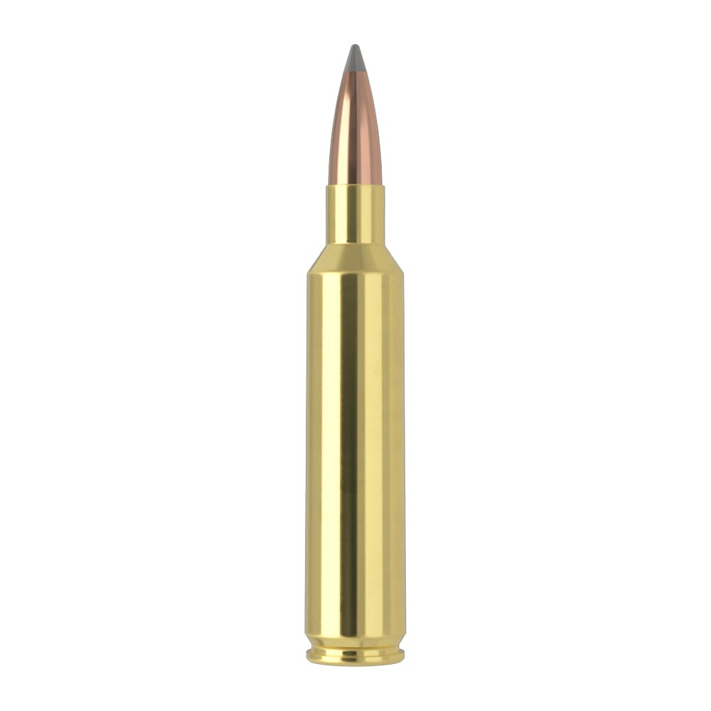 Nosler Trophy Grade (Long Range) TGA-27 Nosler 165g ABLR (20ct) Ammunition 61237
