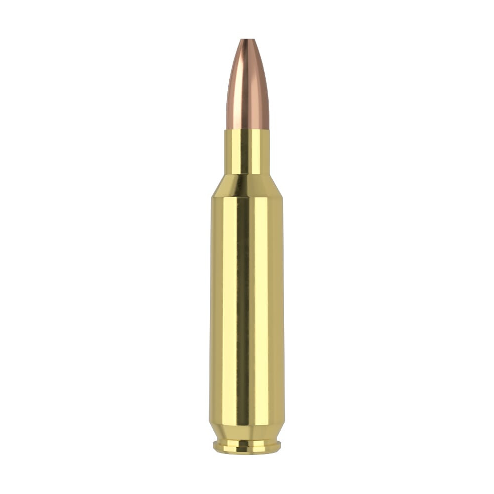 Nosler Varmageddon VGA-22 Nosler 62g VG HPFB (50ct) Ammunition 65180