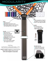 Rising Net Modularity