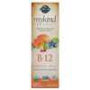 Garden of Life mykind Organics B-12 Spray Raspberry 2 fl oz