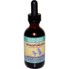 Herbs for Kids - Echinacea/GoldenRoot Blend Orange Flavor - 2 oz.