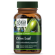 Gaia Herbs Olive Leaf  60 Capsules