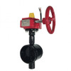 Fire Protection Butterfly Valve