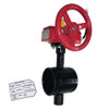 Fire Protection Butterfly Valve