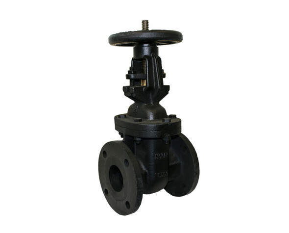 Gate Valve, Bolted Bonnet, Solid Wedge, OS & Y, Class 125