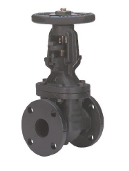 125# CI OS&Y Flanged Gate Valve