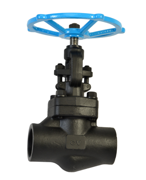 Class 800 Forged Steel Gate Valve NPT