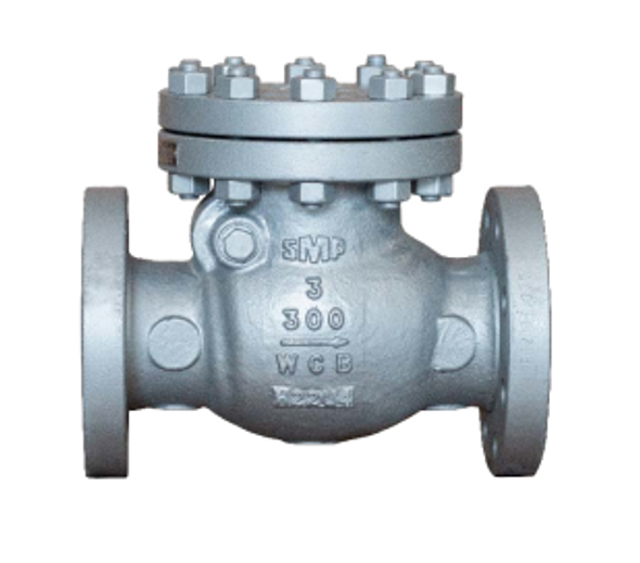 300# Cast Steel Flanged Swing Check Valve