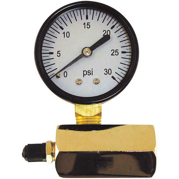 15 lb Gas Test Gauge Assembly w/ 1" FIP Connection