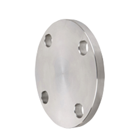 Stainless Steel Blind Flange