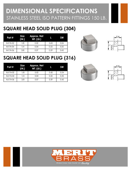 150# Stainless Steel Solid Square Head Plug  ISO 49