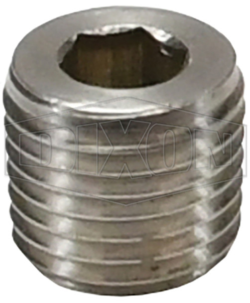 2190600SS - Hex Socket Plug SS