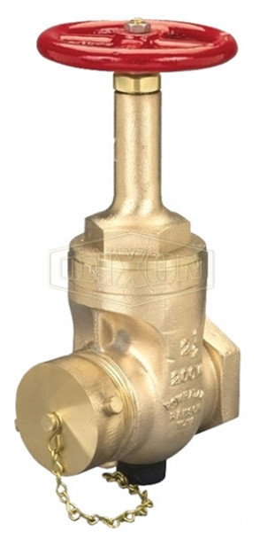 RWDGV250F - Rising Stem Wedge Disc Gate Valve