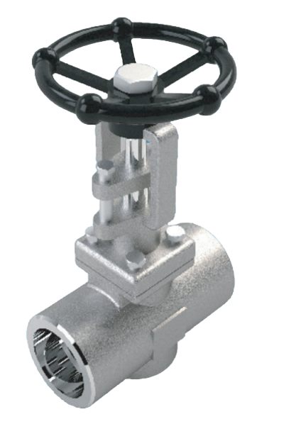Forged Stainless Steel Socket Weld Gate Valve