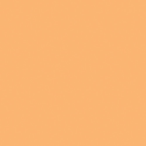 Lee Gels Roll #204 Full C.T.Orange 48" x 25' Lee Gels Roll #204 Full C.T.Orange 48" x 25'