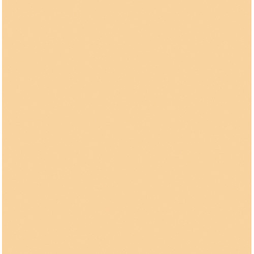 Rosco Cinegel Sheet #3442: Half Straw (1/2 CTS), Gels Rosco Cinegel Sheet #3442: Half Straw (1/2 CTS), Gels