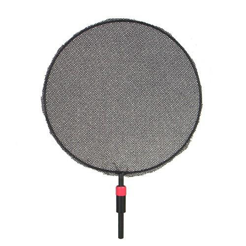 Matthews 3" Double Dot Matthews 3" Double Dot