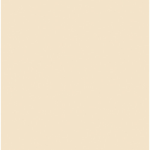 #3443 Rosco Gels Roscolux Quarter Straw (1/4 CTS), 20x24" #3443 Rosco Gels Roscolux Quarter Straw (1/4 CTS), 20x24"