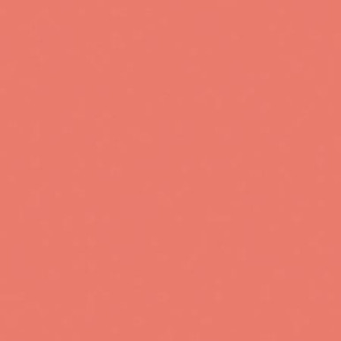 Rosco R25 #3310 Rosco Gels Roscolux Fluorofilter, 20x24