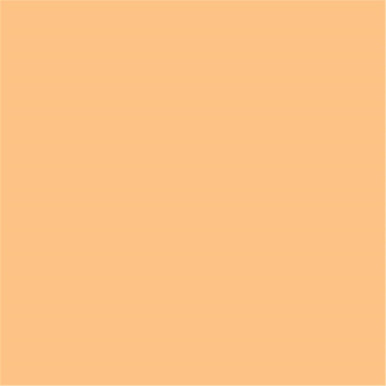 Rosco 1/2 CTO Gel Filter 20x24 Inch - Amber Color Correction Lighting Filter