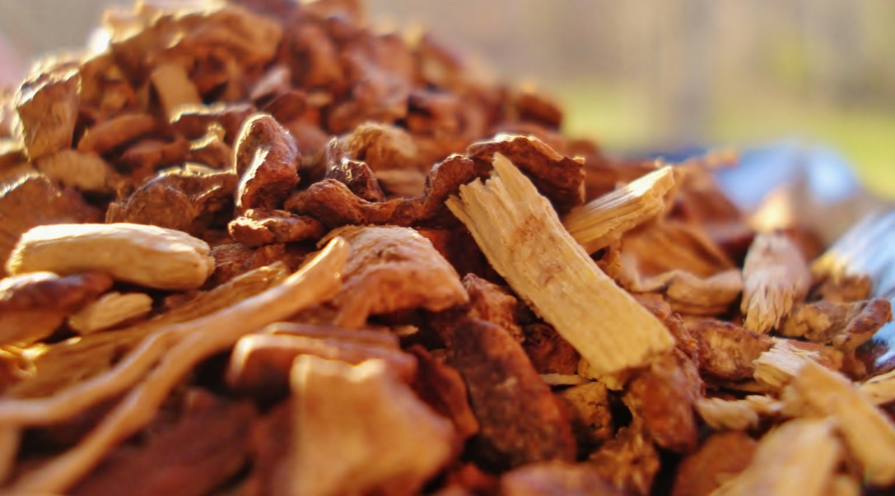 Indian Sarsaparilla BREWinternational indian-sarsaparilla-brewinternational