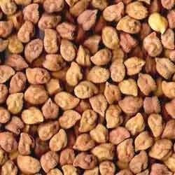 Paradise Seeds 2 grams