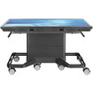 Avteq DynamiQ 55" Touch Panel Cart - view 3