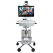 Poly RealPresence Group 500 Single Display Cart