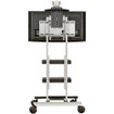 Avteq RPS-400 Single 42" Display Cart - view 2