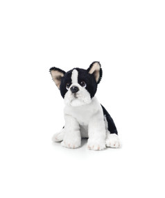 White and black stuffed dog sitting down looking up