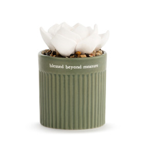 A small, stripe textured, olive green vase that reads blessed beyond measure", filled with an assortment of small rocks, and a white succulent oil diffuser."