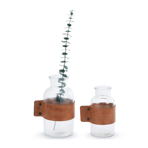 Bloom and Collect Jars - Set of 2 Assorted