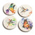 Set of four coasters with multi-color designs - top left is butterfly, top right is hummingbird, bottom left is dragonfly, bottom right is monarch butterfly