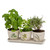 Herb Planter Set