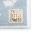 detail shot of decal reading Sweet Little Lamb sewn on corner of blue blanket
