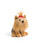 Tan shaggy stuffed dog animal sitting with red bow