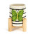 A small white planter with black stripes and a large green butterfly. Placed in a light wooden stand.