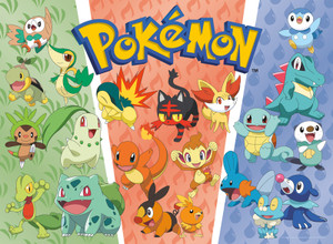 Pokemon Kanto Region Evolutions 1000 Large Piece Jigsaw Puzzle