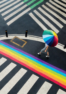 Rainbow Series: Black White Rainbow 300 Piece Jigsaw Puzzles Rainbow Series: Black White Rainbow 300 Piece Jigsaw Puzzles