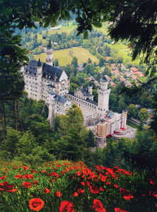 Photography: Schloss Neuschwanstein 1000 Piece Puzzle Photography: Schloss Neuschwanstein 1000 Piece Puzzle