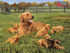 Dog Days: Glorious Goldens 750 Piece Puzzle Dog Days: Glorious Goldens 750 Piece Puzzle