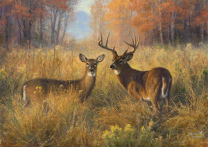 Proud Pair 300 Large Piece Puzzle Proud Pair 300 Large Piece Puzzle