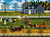 Charles Wysocki: The Boccie Ladies of Martha's Vineyard 1000 Piece Puzzle Charles Wysocki: The Boccie Ladies of Martha's Vineyard 1000 Piece Puzzle