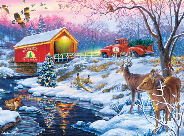 Darrell Bush: Christmas in the Country