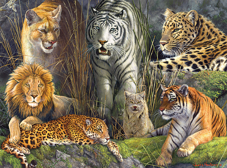 Hautman: Big Cat Collage 1000 Piece Puzzle