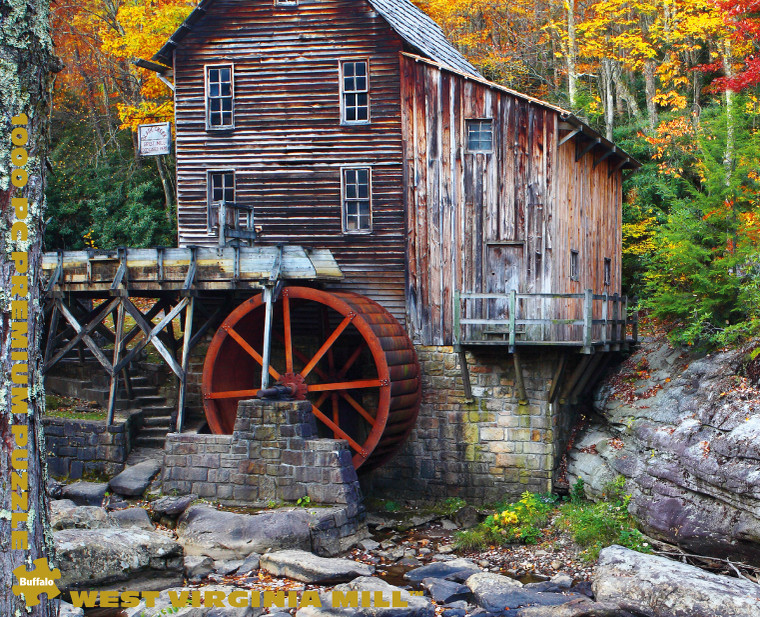 Buffalo Gold: West Virginia Mill 1000 Piece Puzzle