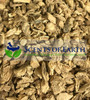 Ginger Root (Zingiber officinale) - Southeast Asia