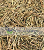 Pine Needles (Pinus abies) - Romania Pine Needles (Pinus abies) - Romania